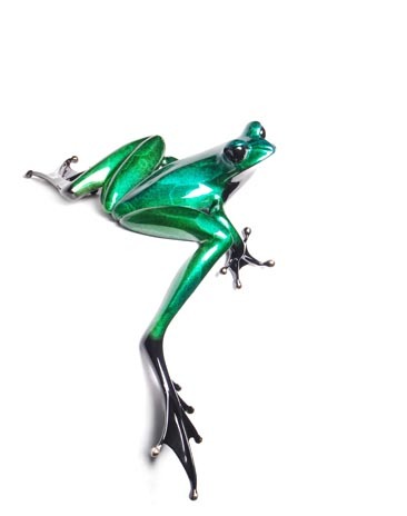 Frogman (Tim Cotterill) Artist