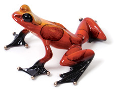 Frogman (Tim Cotterill) Artist