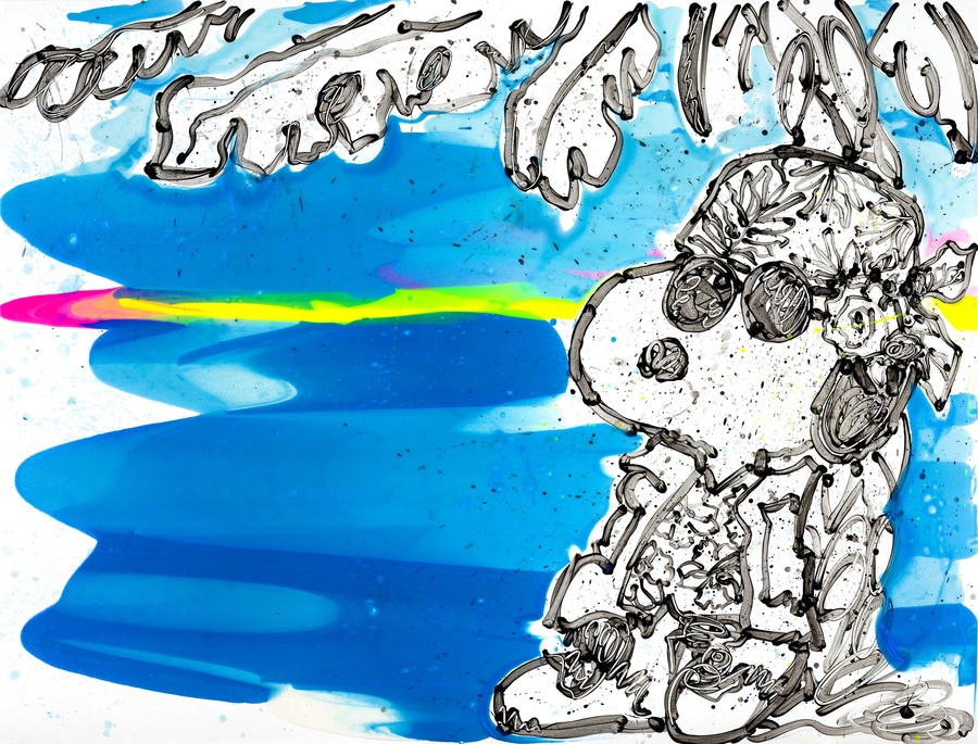 Tom Everhart Artist