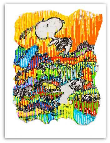 Tom Everhart Artist