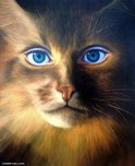 Jim Warren Fine Art Jim Warren Fine Art Cat Woman