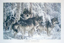 Larry Fanning Larry Fanning Crystal Forest - Gray Wolves (Poster) 