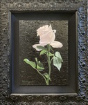 Phillip Anthony Phillip Anthony Subtle Contrast (Original) - (Framed)