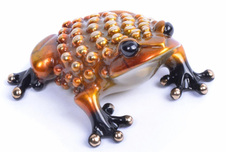Frogman - Tim Cotterill Frogman - Tim Cotterill Pumpkin (AP)