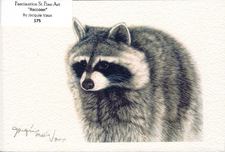Fine Artwork On Sale Fine Artwork On Sale Raccoon 