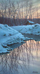 Alexei Butirskiy Alexei Butirskiy Winter Reflections