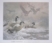 Fine Artwork On Sale Fine Artwork On Sale Winter Retreat - Canada Geese (Poster) 