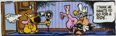 Fine Artwork On Sale Fine Artwork On Sale Go For A Ride