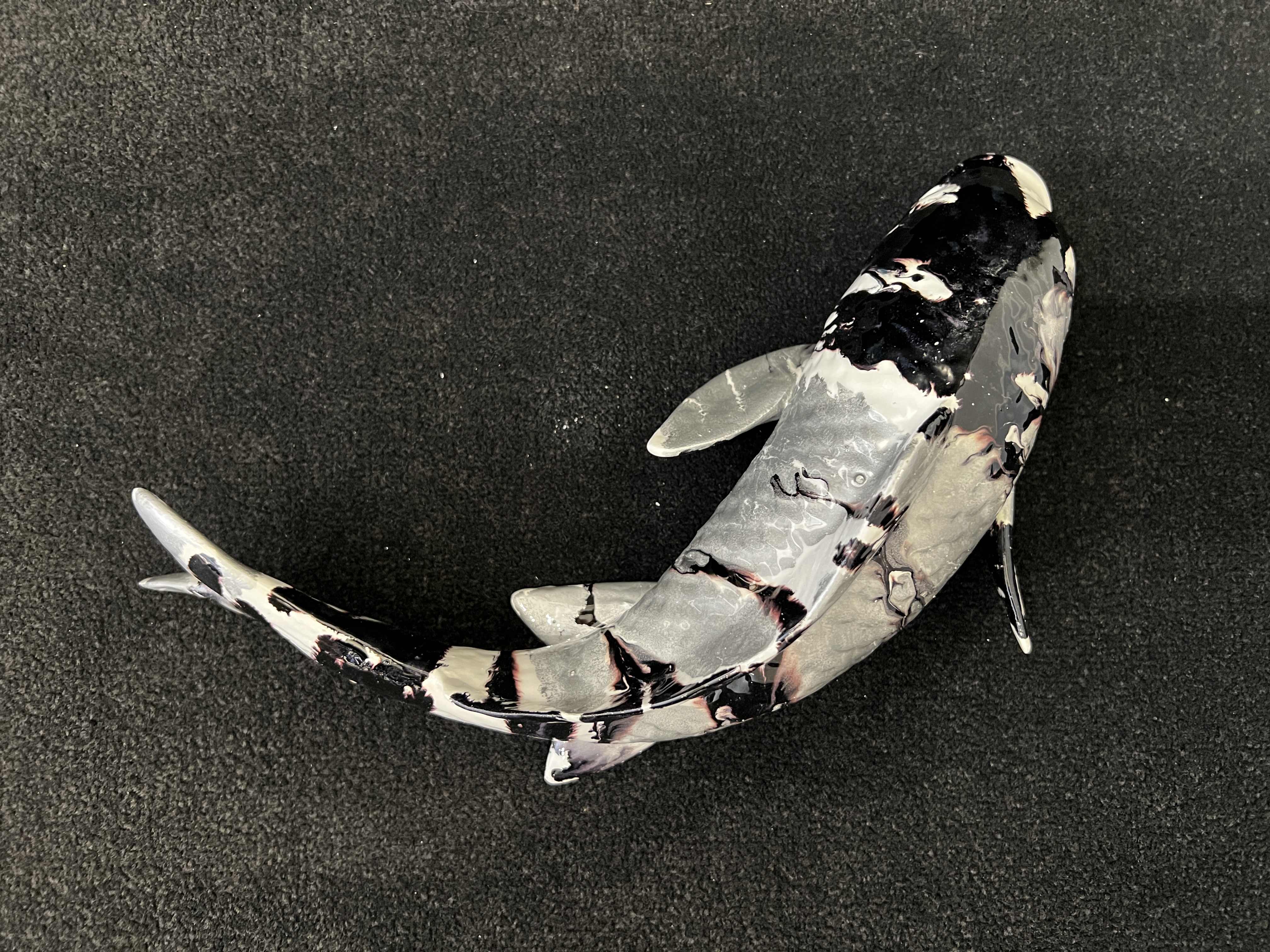 Ancizar Marin Koi Fish (Large) (Black and White Stripes)