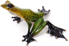 Frogman (Tim Cotterill) Emerald