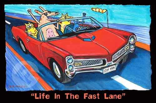 Matt Rinard Life in the Fast Lane