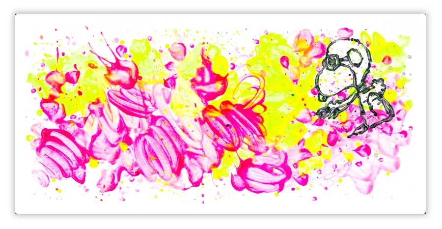 Tom Everhart Partly Cloudy 6:45 Morning Fly