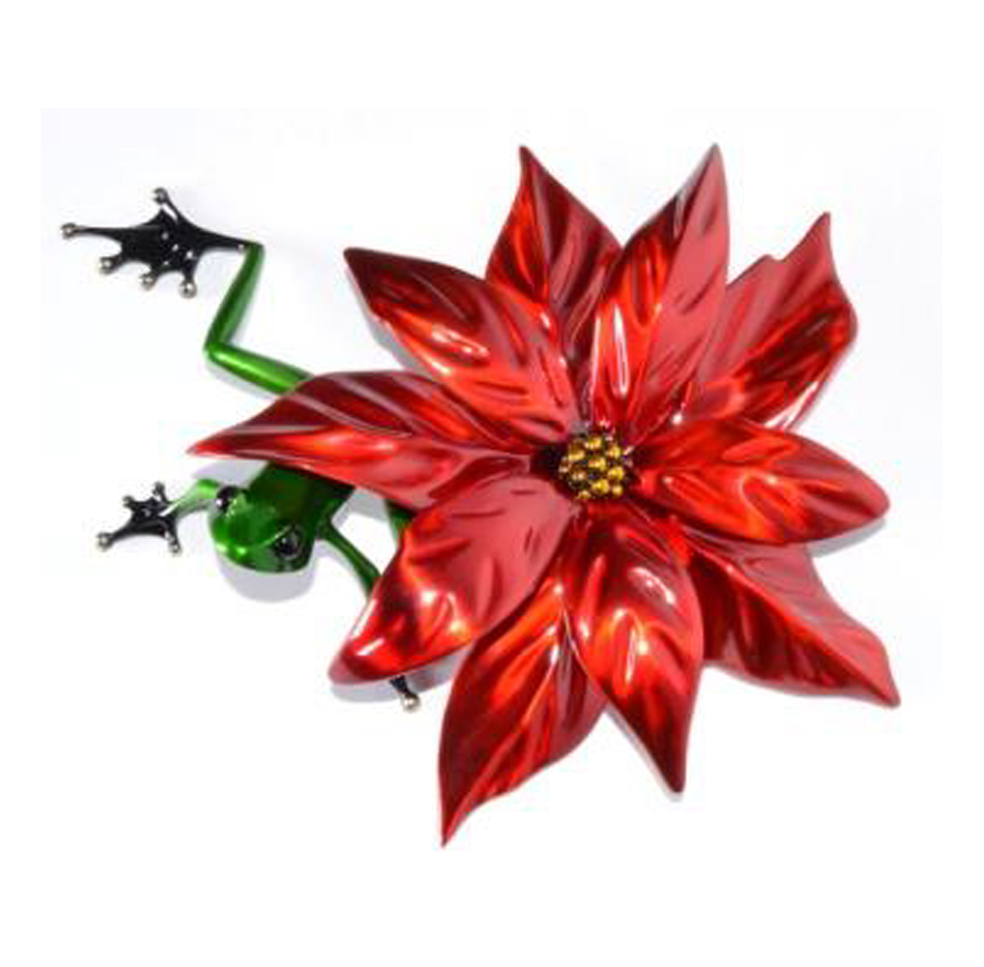 Frogman (Tim Cotterill) Poinsettia