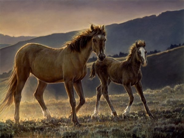 Nancy Glazier Star and Her Foal (AP)