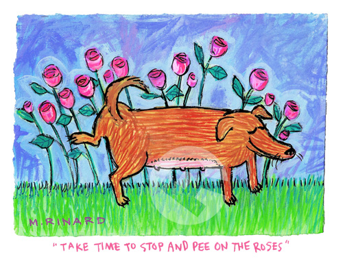 Matt Rinard Take Time To Stop & Pee On The Roses