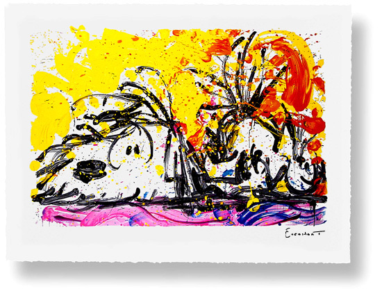 Tom Everhart Blow Dry