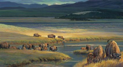 Nancy Glazier Buffalo Valley (Grande Edition)