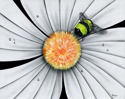 Michael Godard Bumble Bee, White Daisy Flower (SN)