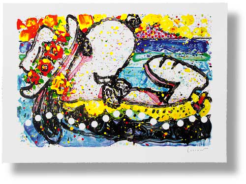 Tom Everhart Chillin