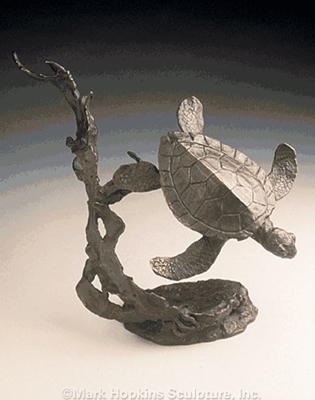 Mark Hopkins Sea Turtle
