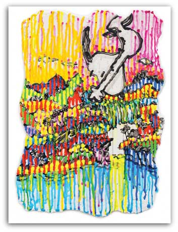 Tom Everhart Super Fly - Spring