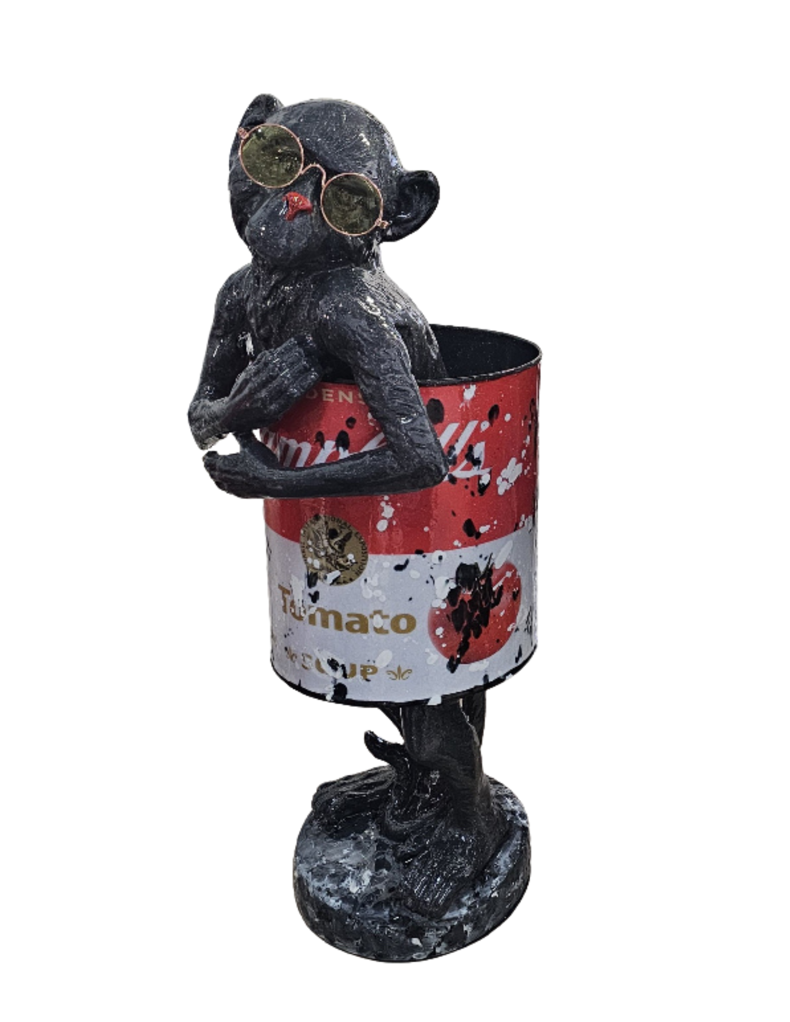 Ancizar Marin Campbells Monkey