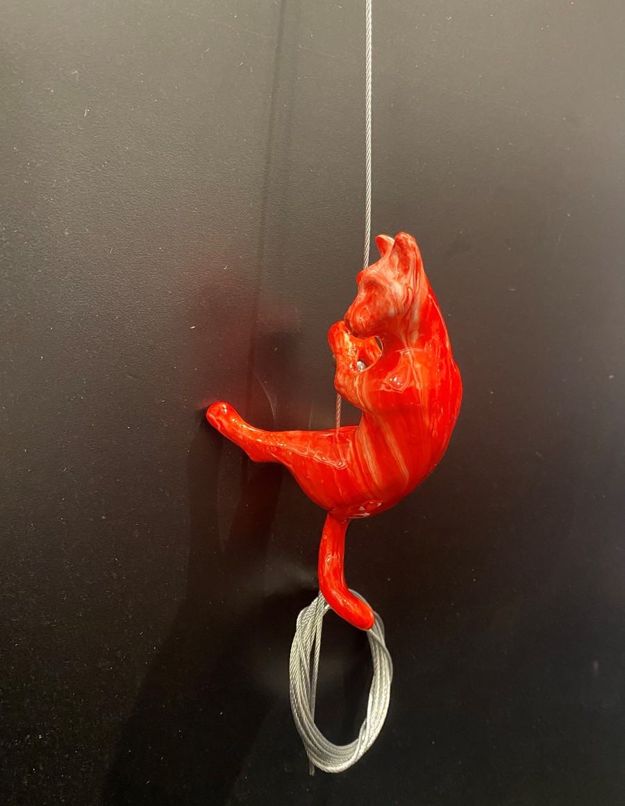 Cat Climber #1 Ancizar Marin