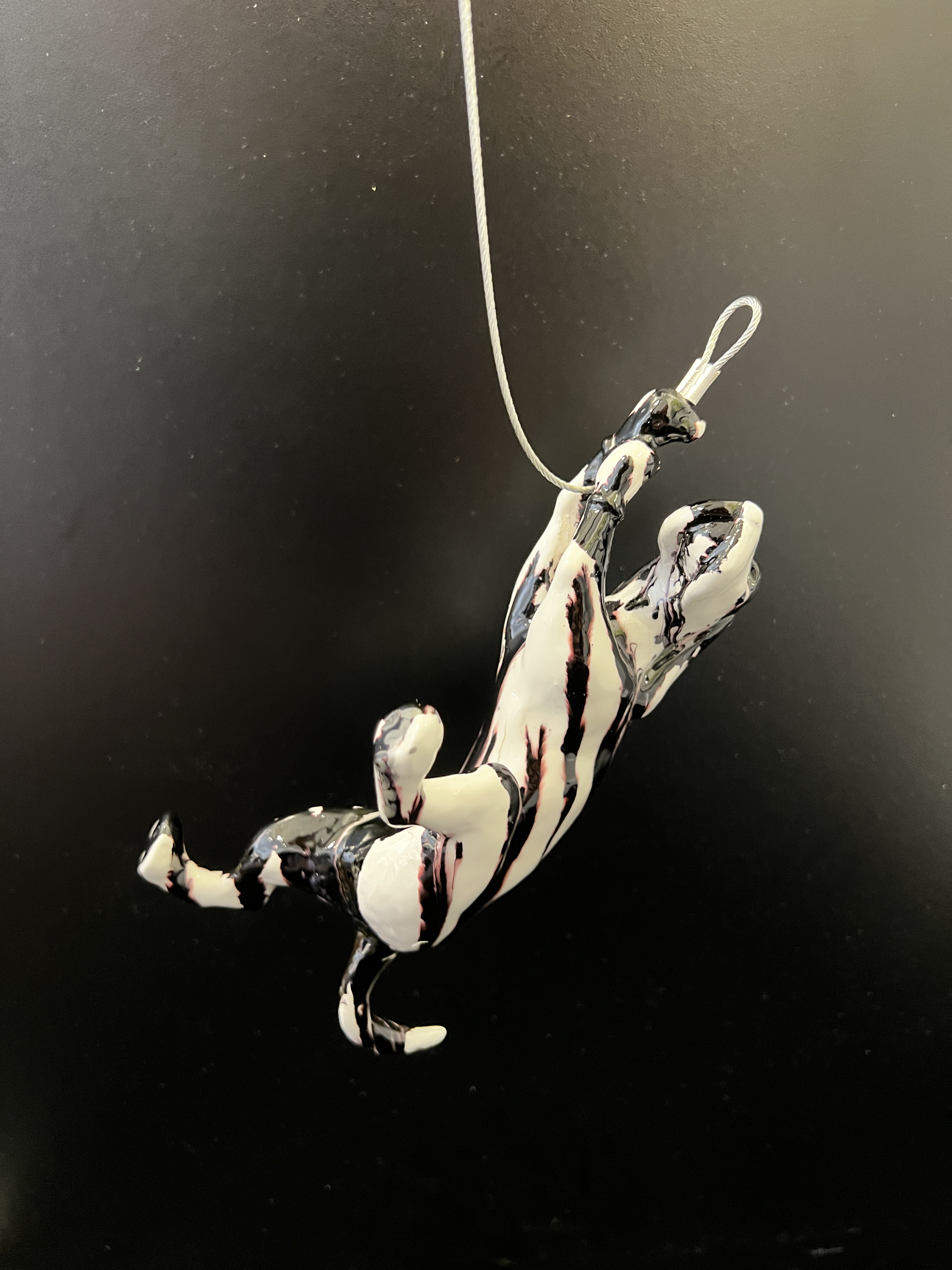 Dog Climber #4 Ancizar Marin