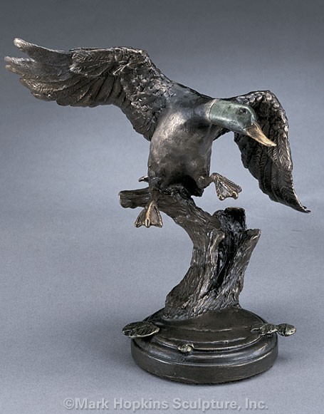 Mallard Eli Hopkins