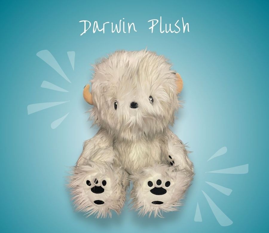 Darwin Plush Fabio Napoleoni