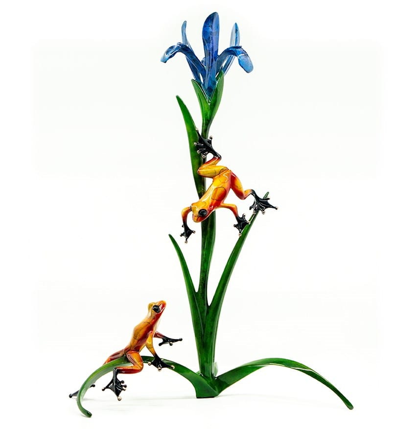Frogman (Tim Cotterill) Iris