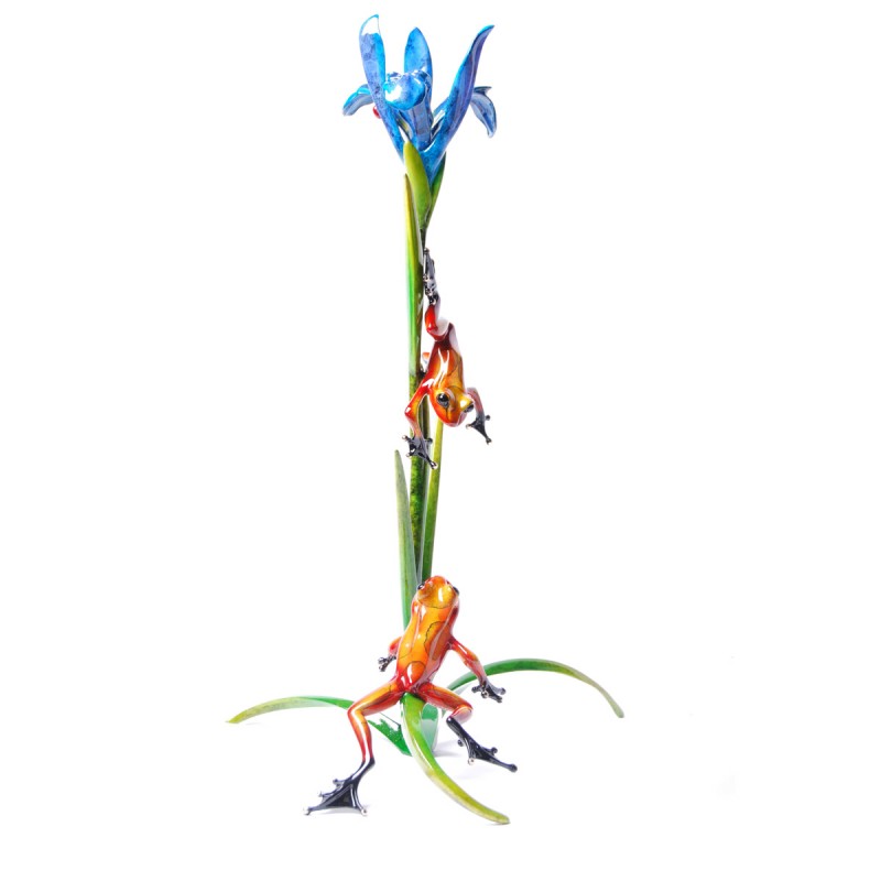 Frogman (Tim Cotterill) Iris