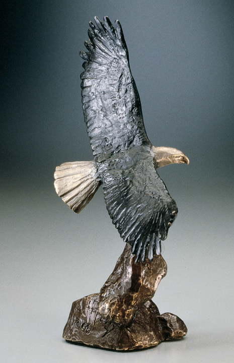 Bald Eagle Mark Hopkins