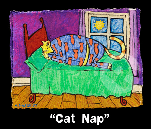 Cat Nap Matt Rinard