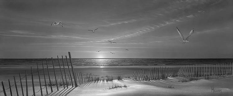 A Seagull's Life Stephen Muldoon