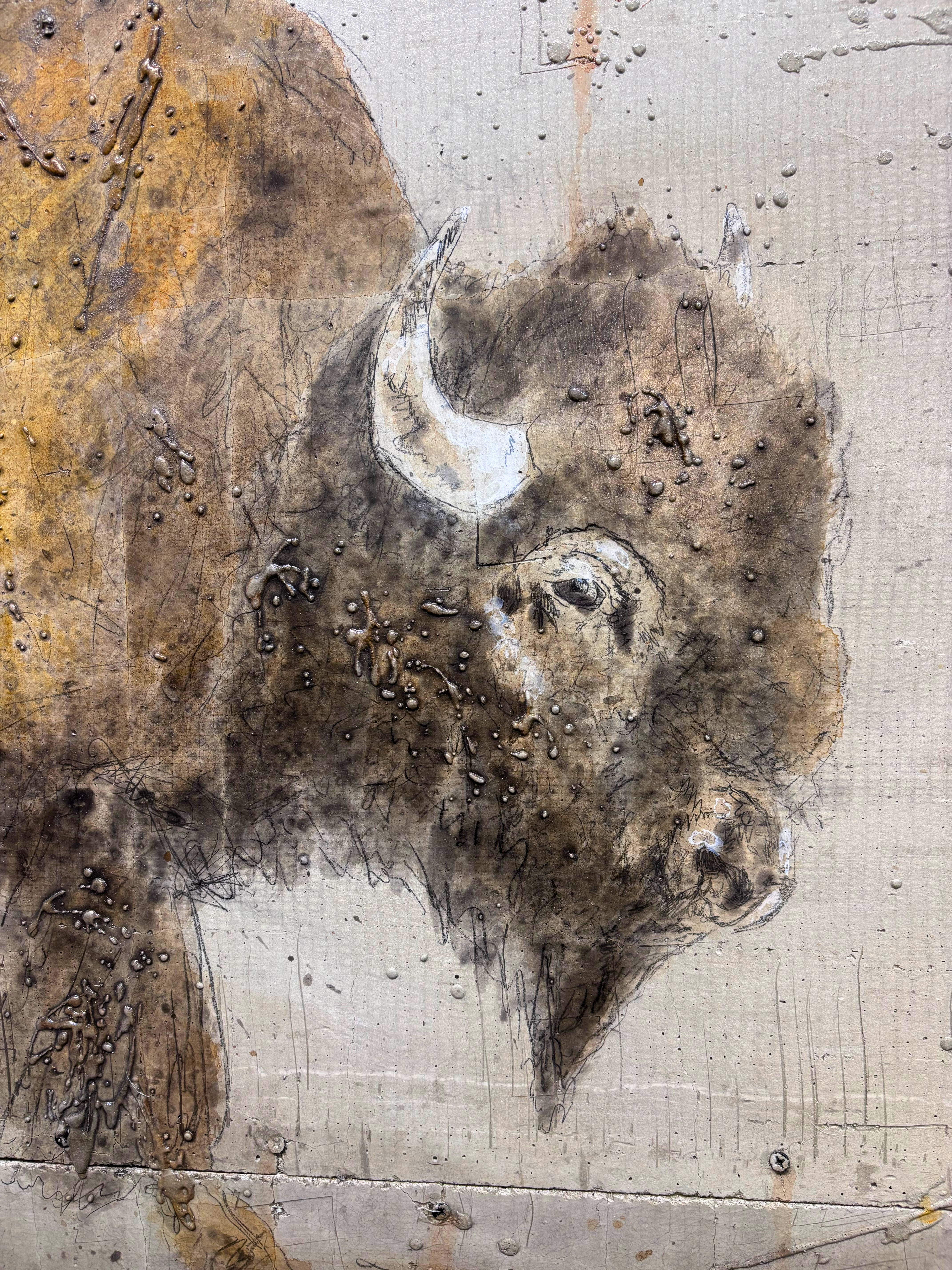 Trevor Mezak Great Plains